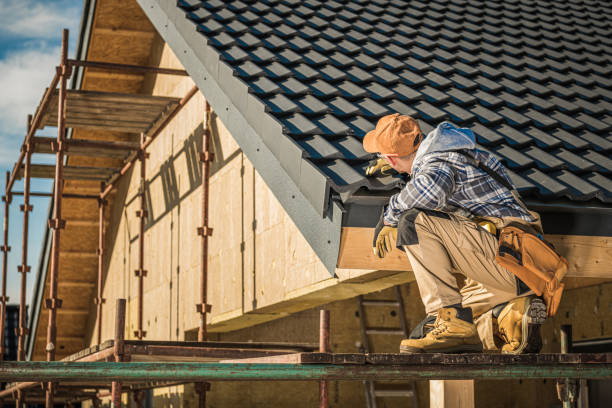 Best Roof Ventilation Installation  in Davenport, IA